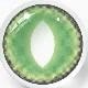 1Pairs/2Pces British Shorthair Green Contact Lenses Colored Cosmetic Beauty Contact Lens For Dark Eye Lens 14.2mm