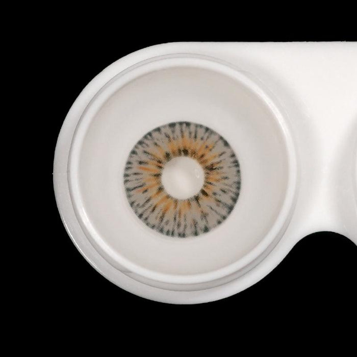 New York Gogh Grey Color Contact Lenses