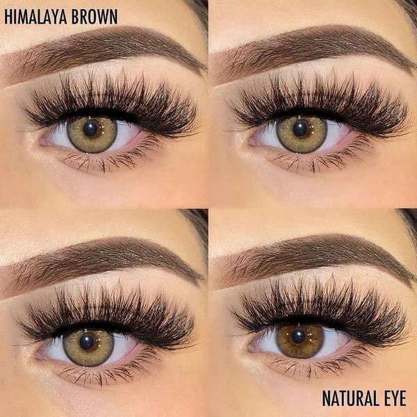 Himalaya Brown Color Contact Lenses