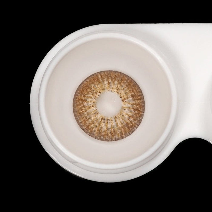 New York Brown Color Contact Lenses