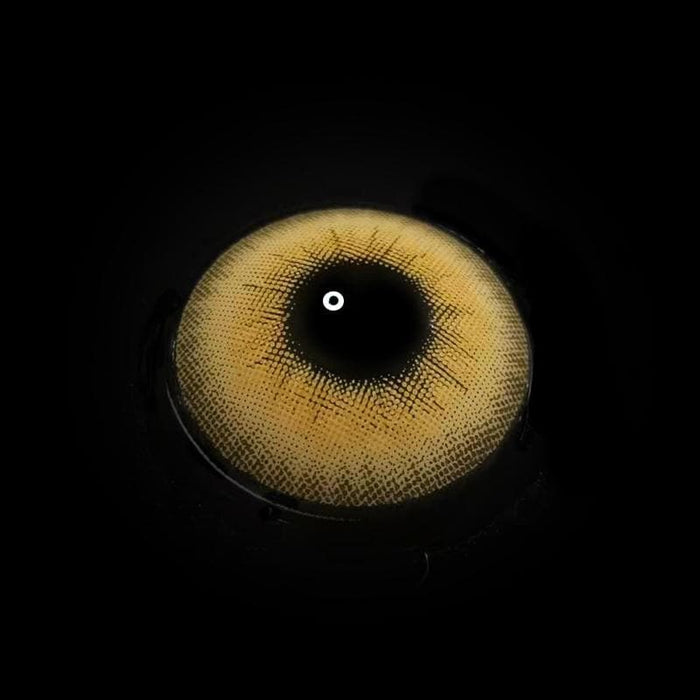 LA Girl Brown Color Contact Lenses