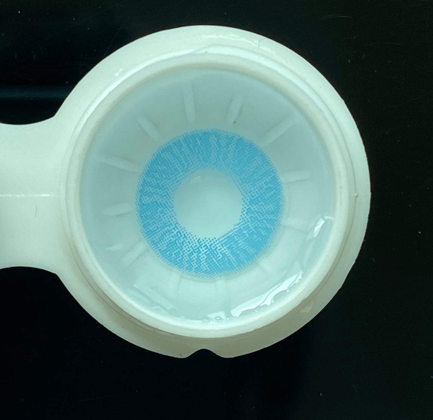 Lee Bible Blue Color Contact Lenses