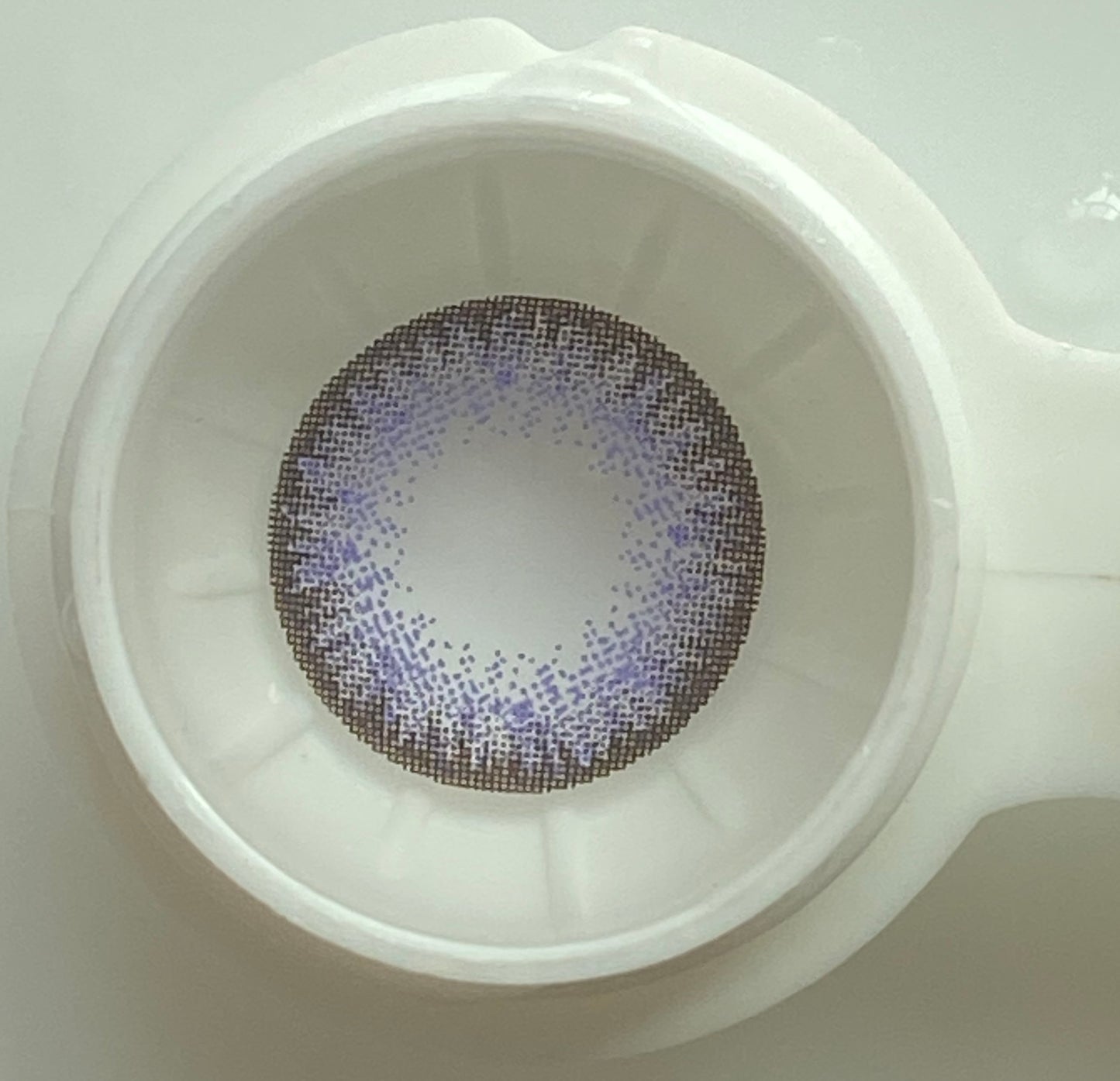 Egypt Purple Color Contact Lenses 【Prescription】