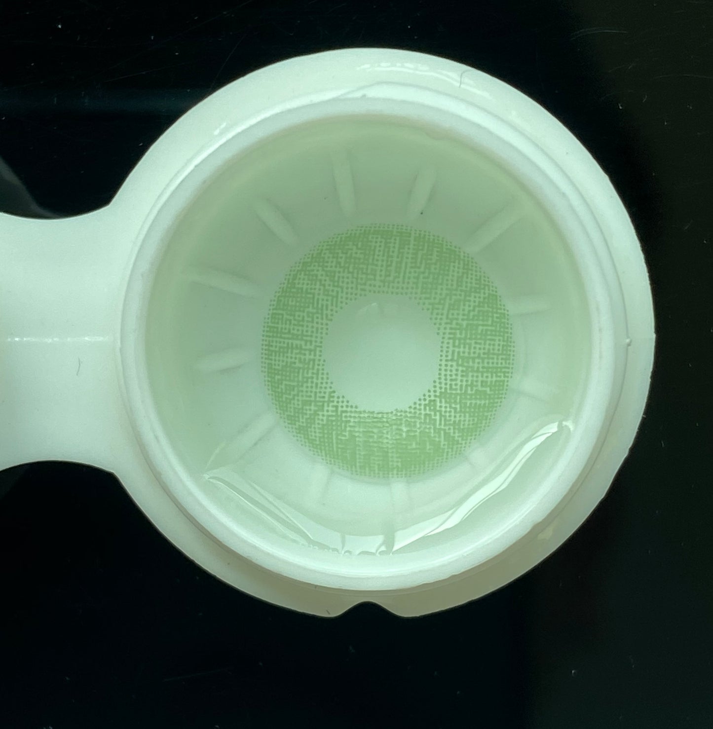 Lee Bible Green Color Contact Lenses