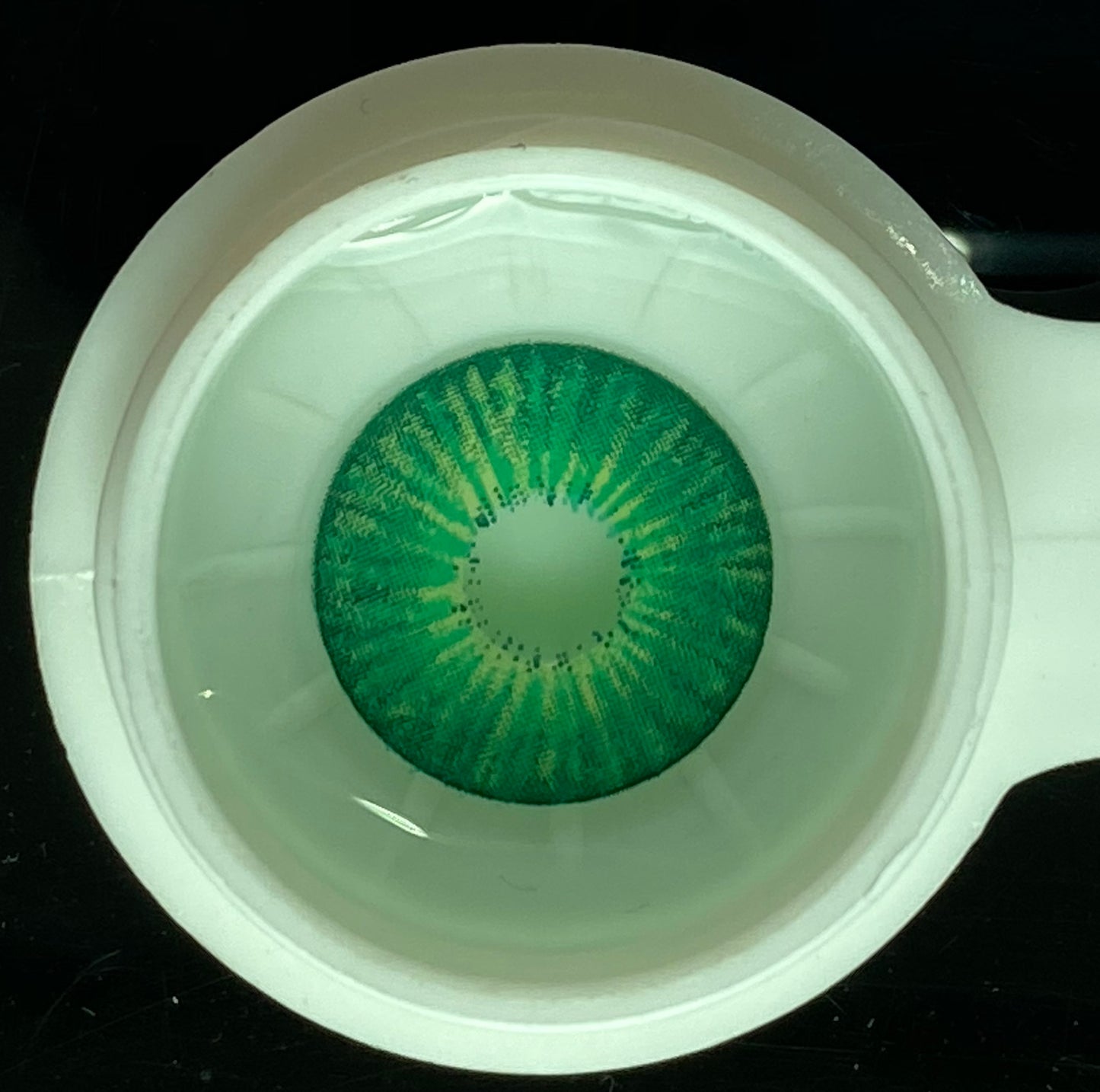 New York Green Color Contact Lenses