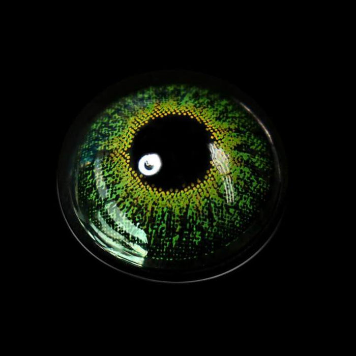 Forest Aurelia(Medusa) Color Contact Lenses