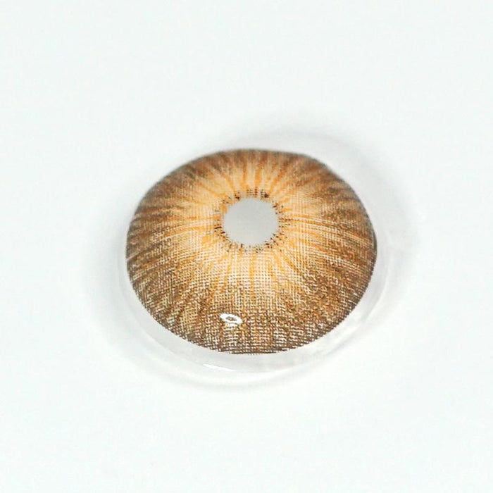 New York Brown Color Contact Lenses